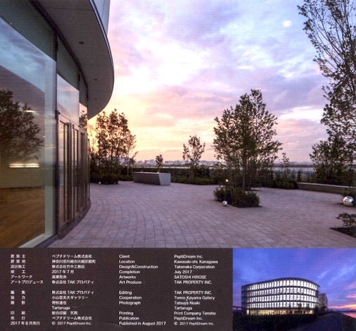 PDPS  Artworks concept book